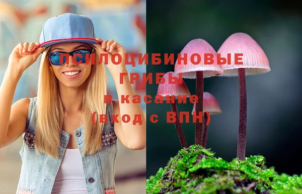 шишки Покров