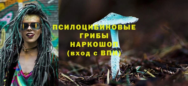 шишки Покров