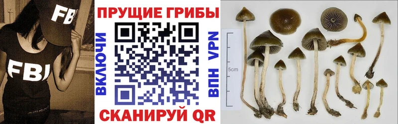 закладки  Уяр  Галлюциногенные грибы мухоморы 